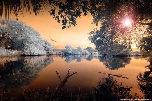 ������� ���������: ������������ ����������