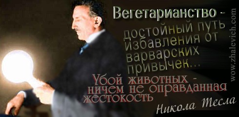 21 ��� � ��������������