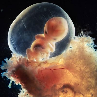 �������� �������� �� ������� �� ��������