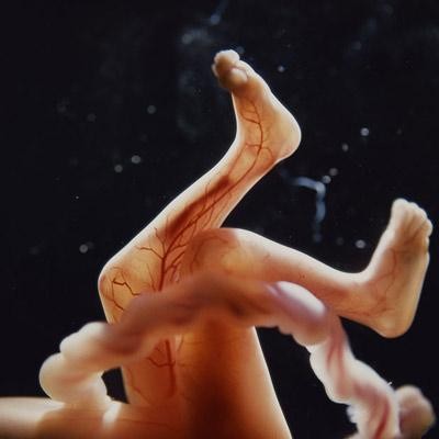 �������� �������� �� ������� �� ��������